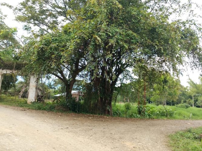 Lote en venta en Pance, Cali, 10000 m² · foto 3 de 24