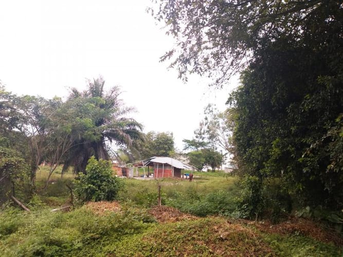 Lote en venta en Pance, Cali, 10000 m² · foto 6 de 24