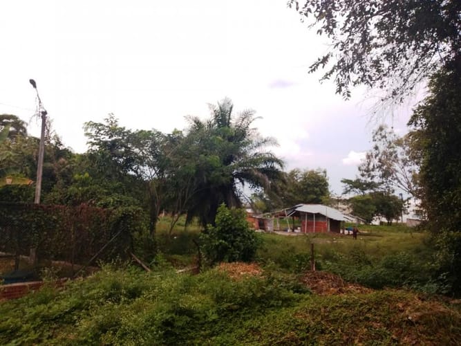 Lote en venta en Pance, Cali, 10000 m² · foto 7 de 24