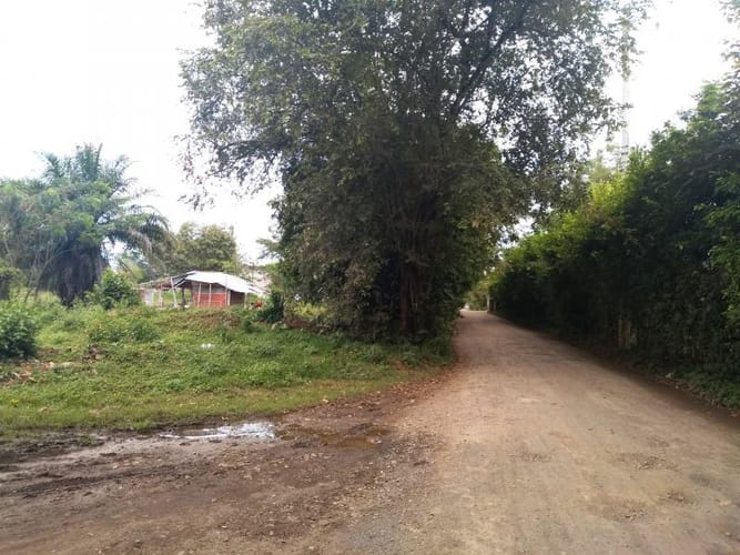 Lote en venta en Pance, Cali, 10000 m² · foto 9 de 24