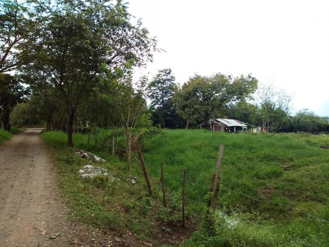 Lote en venta en Pance, Cali, 10000 m² · foto 10 de 24