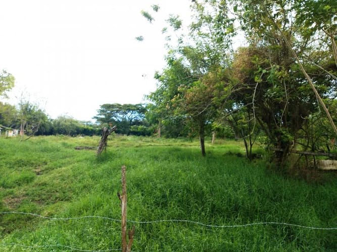 Lote en venta en Pance, Cali, 10000 m² · foto 11 de 24