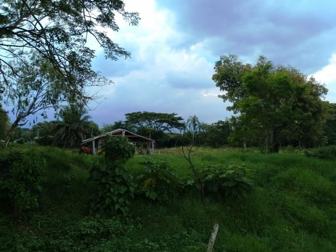 Lote en venta en Pance, Cali, 10000 m² · foto 12 de 24