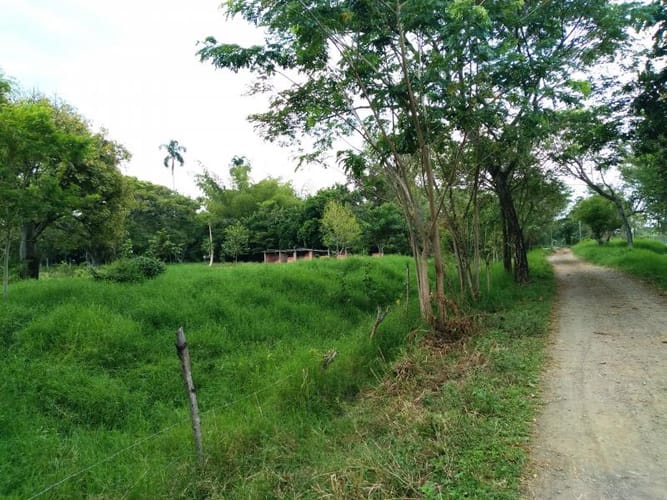 Lote en venta en Pance, Cali, 10000 m² · foto 13 de 24