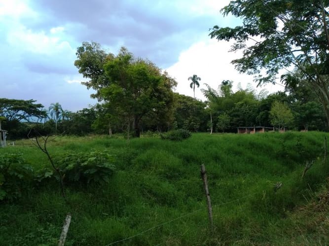 Lote en venta en Pance, Cali, 10000 m² · foto 14 de 24