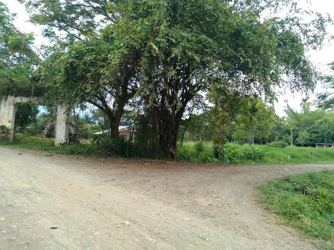 Lote en venta en Pance, Cali, 10000 m² · foto 17 de 24