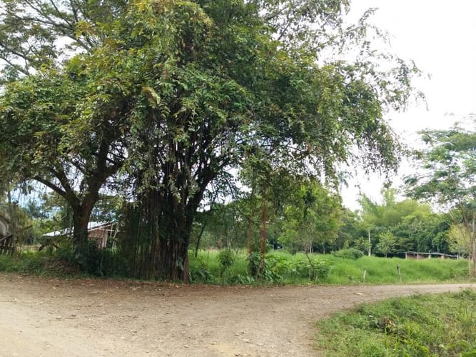 Lote en venta en Pance, Cali, 10000 m² · foto 20 de 24