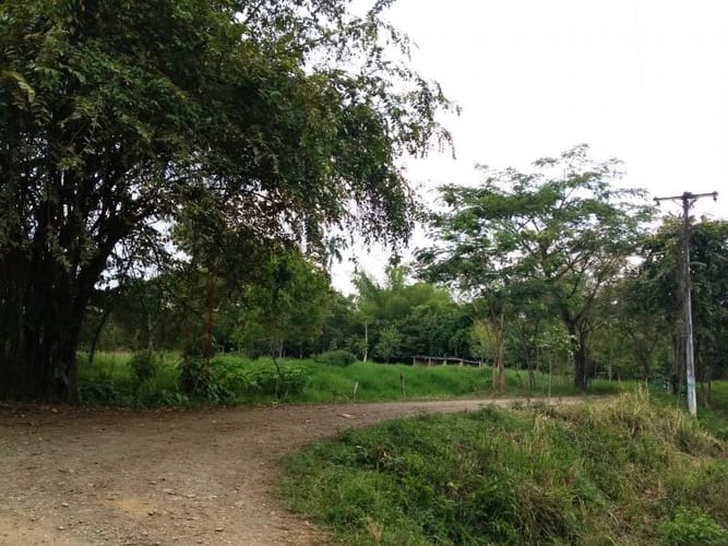 Lote en venta en Pance, Cali, 10000 m² · foto 22 de 24