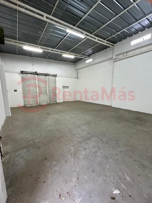 Bodega en arriendo en El Llano, Cúcuta, 250 m² · foto 3 de 5