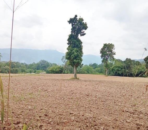 Lote en venta en Guatiguara, Piedecuesta, 100 m² · foto 3 de 15