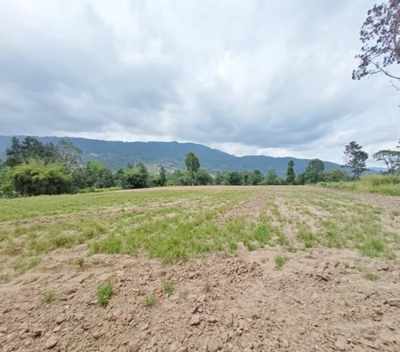Lote en venta en Guatiguara, Piedecuesta, 100 m² · foto 6 de 15