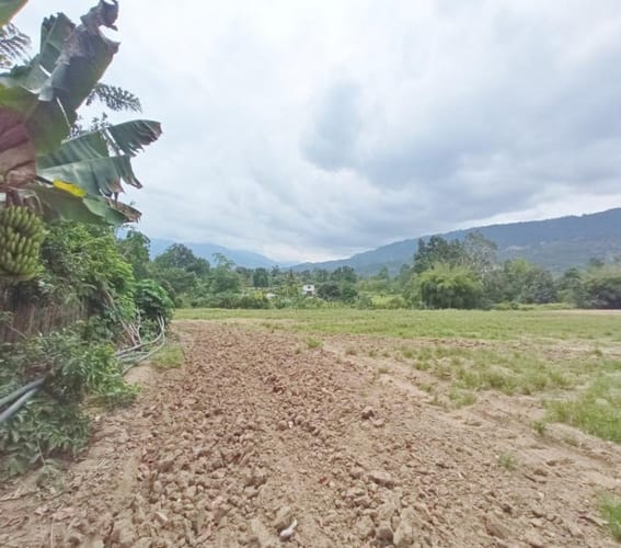 Lote en venta en Guatiguara, Piedecuesta, 100 m² · foto 10 de 15