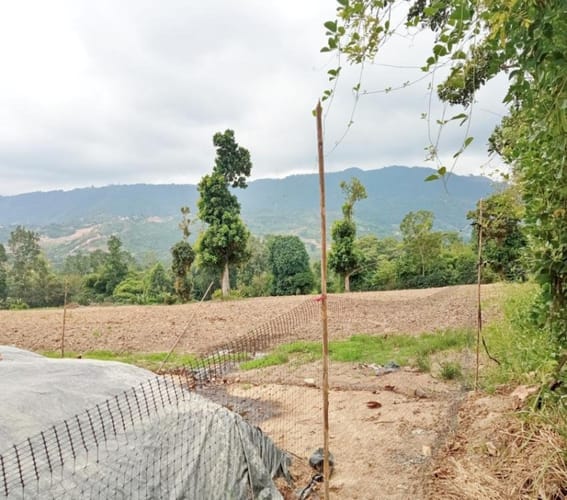 Lote en venta en Guatiguara, Piedecuesta, 100 m² · foto 12 de 15