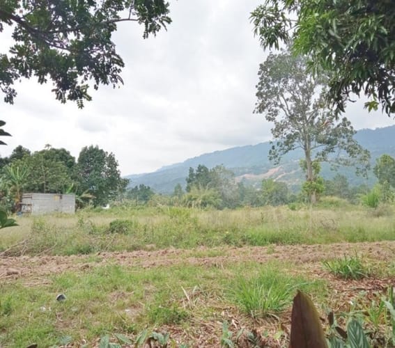 Lote en venta en Guatiguara, Piedecuesta, 100 m² · foto 14 de 15