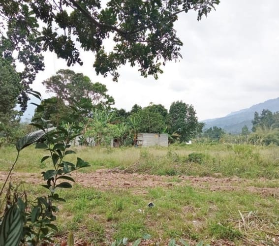 Lote en venta en Guatiguara, Piedecuesta, 100 m² · foto 15 de 15