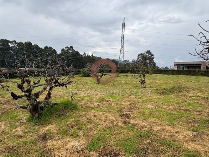 Lote en venta en San Miguel, La Ceja, 2000 m² · foto 2 de 7