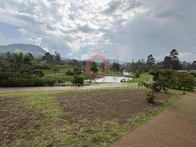 Lote en venta en San Miguel, La Ceja, 2000 m² · foto 7 de 7