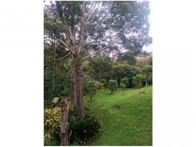 Casa de 7 alcobas en venta en Vía Las Palmas, Envigado, 400 m² · foto 8 de 21