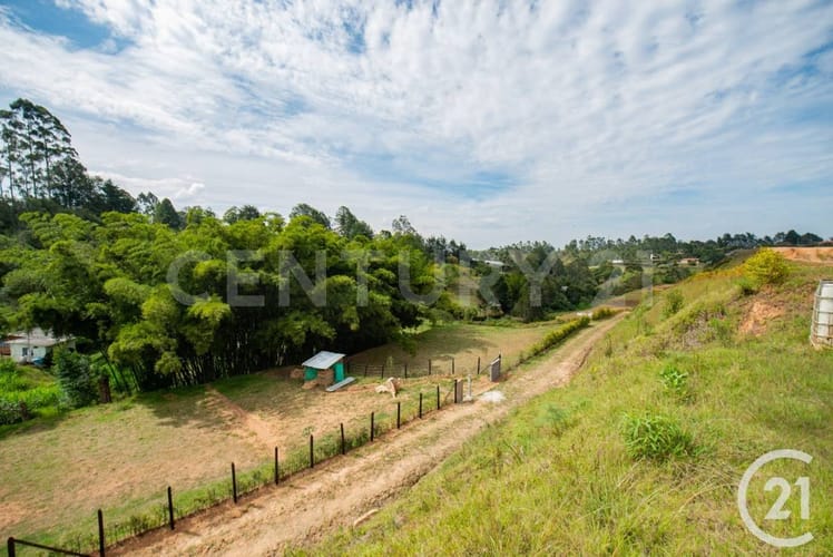 Lote en venta en Rionegro, 2500 m² · foto 4 de 9