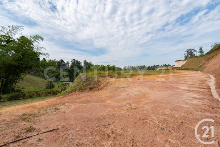 Lote en venta en Rionegro, 2500 m² · foto 5 de 9