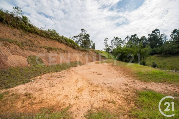 Lote en venta en Rionegro, 2500 m² · foto 6 de 9