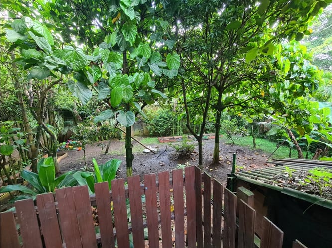 Casa de 4 alcobas en venta en Cuarto De Legua - Guadalupe, Cali, 432 m² · foto 6 de 24