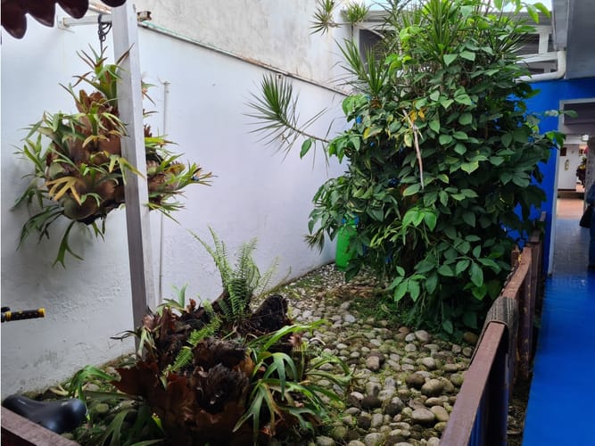 Casa de 4 alcobas en venta en Cuarto De Legua - Guadalupe, Cali, 432 m² · foto 7 de 24