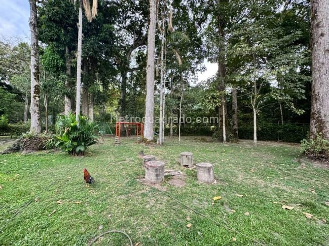 Casa de 3 alcobas en venta en Rosales De Tahilandia, Ibagué, 86 m² · foto 12 de 20