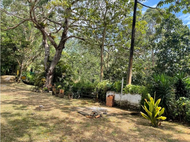 Finca en venta en Las Nieves, Cali, 500 m² · foto 10 de 24