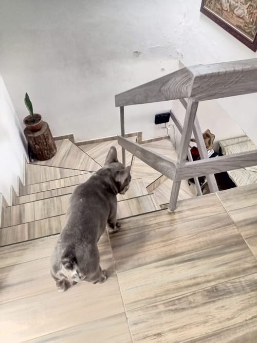 Casa de 5 alcobas en venta en Campohermoso, Manizales, 135 m² · foto 8 de 9
