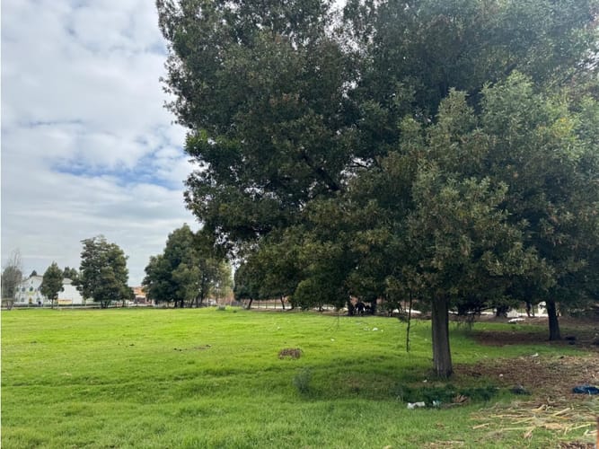 Lote en venta en Bojaca, Chía, 22785 m² · foto 13 de 24