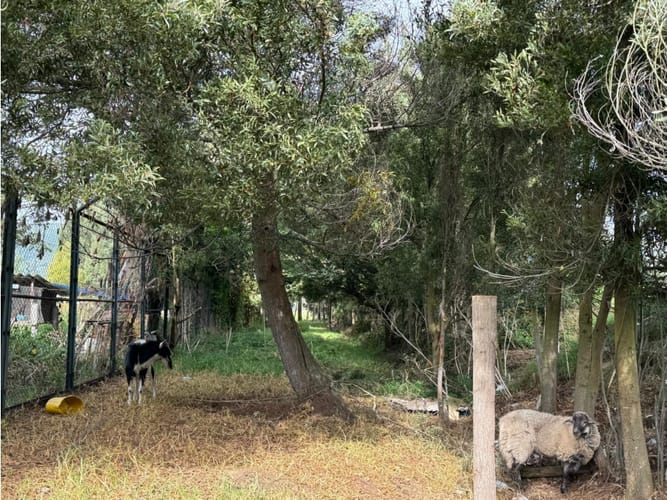 Lote en venta en Bojaca, Chía, 22785 m² · foto 21 de 24