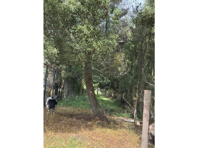 Lote en venta en Bojaca, Chía, 22785 m² · foto 22 de 24