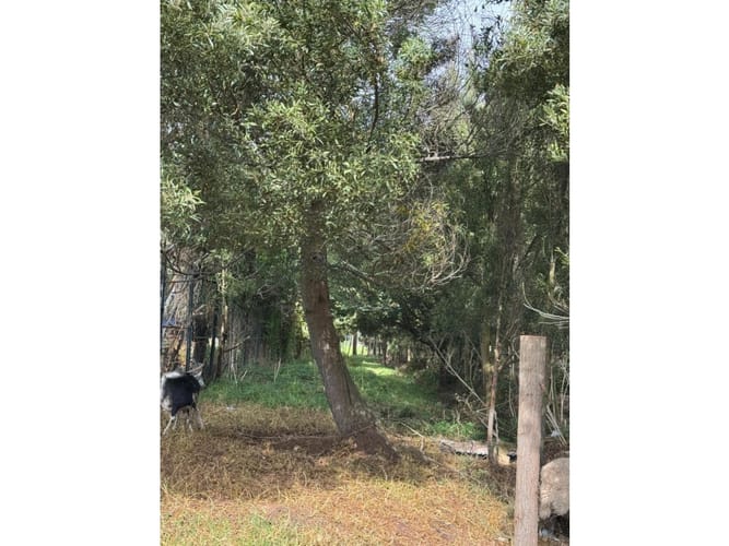 Lote en venta en Bojaca, Chía, 22785 m² · foto 23 de 24