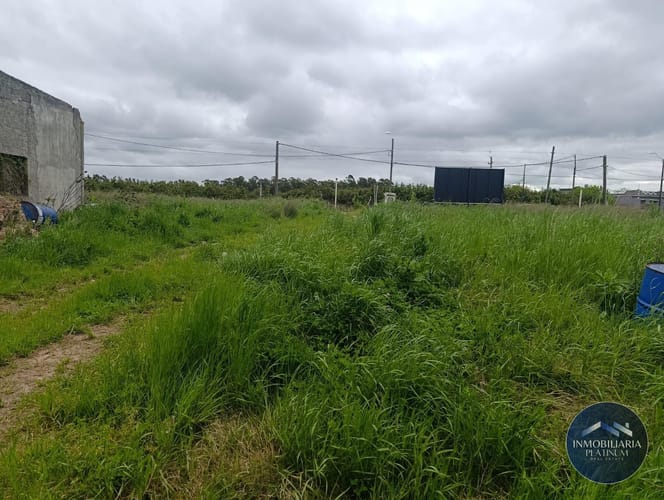 Galpón en alquiler de 14900m2 ubicado en Toledo Chico · Foto 4
