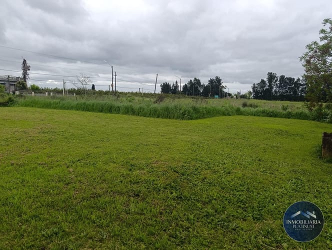 Galpón en alquiler de 14900m2 ubicado en Toledo Chico · Foto 5