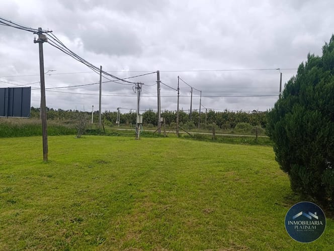 Galpón en alquiler de 14900m2 ubicado en Toledo Chico · Foto 8