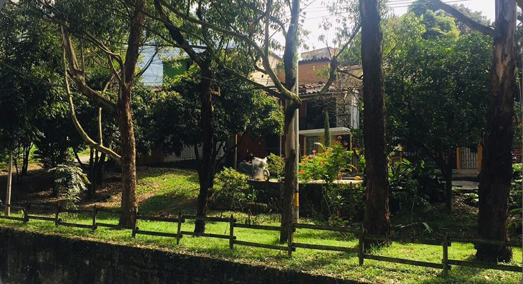 Apartamento de 3 alcobas en venta en La Candelaria, Medellín, 64 m² · foto 5 de 17