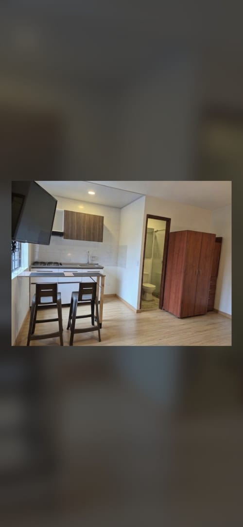 Apartaestudio en arriendo en Palermo, Bogotá, 24 m² · foto 3 de 5