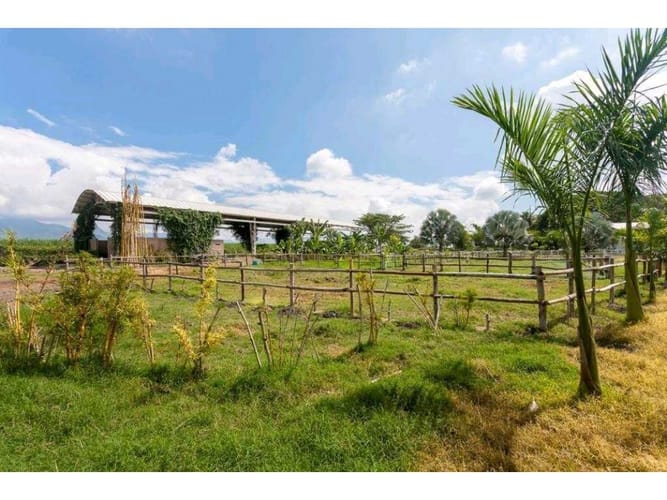 Casa de 6 alcobas en venta en Rozo, Palmira · foto 18 de 24