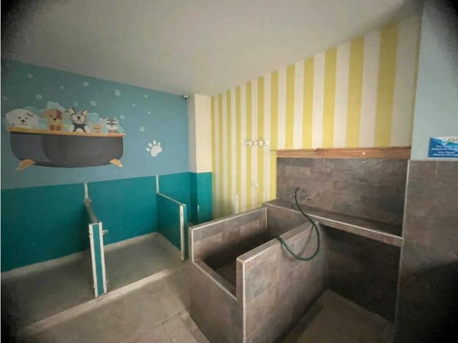 Casa de 10 alcobas en venta en Eucaristico, Cali, 600 m² · foto 13 de 20