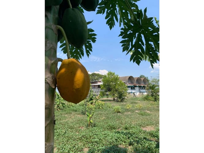 Lote en venta en Rozo, Palmira, 21530 m² · foto 4 de 5