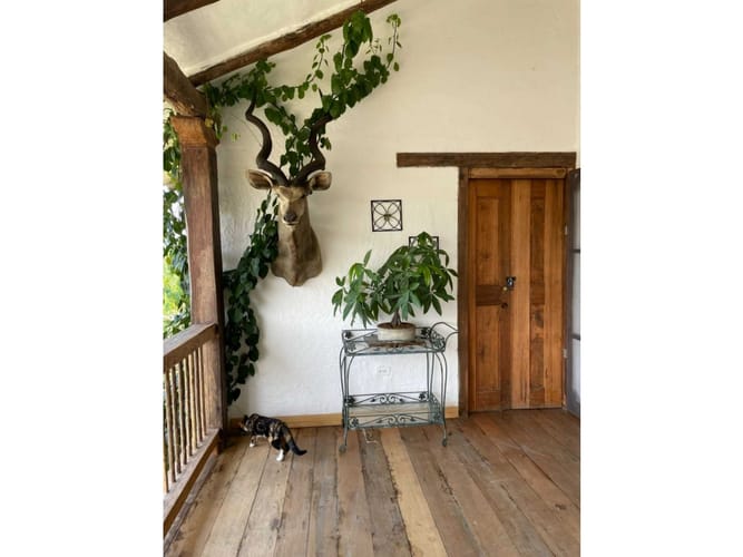 Lote en venta en Rozo, Palmira, 21530 m² · foto 5 de 5
