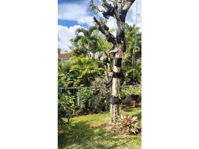 Casa de 7 alcobas en venta en Pance, Cali · foto 15 de 19