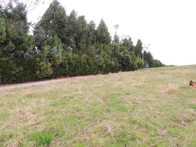 Lote en venta en Yerbabuena, Sopó, 5000 m² · foto 2 de 16