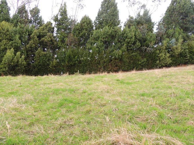 Lote en venta en Yerbabuena, Sopó, 5000 m² · foto 3 de 16