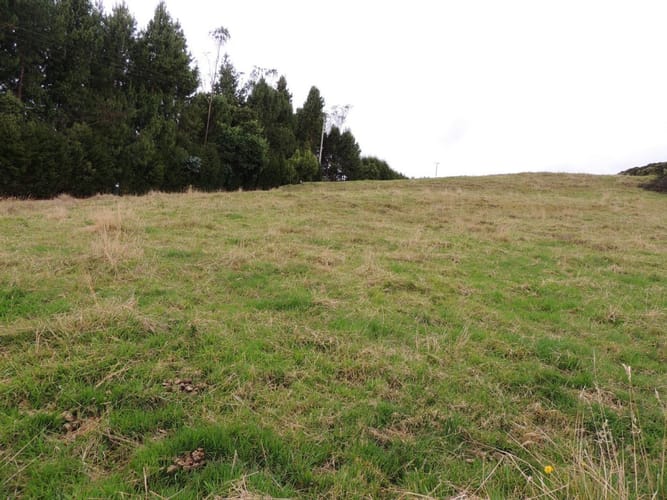 Lote en venta en Yerbabuena, Sopó, 5000 m² · foto 4 de 16
