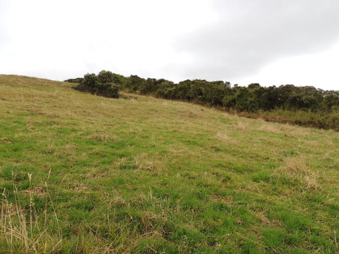 Lote en venta en Yerbabuena, Sopó, 5000 m² · foto 5 de 16