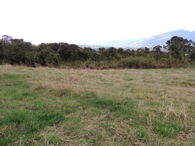 Lote en venta en Yerbabuena, Sopó, 5000 m² · foto 7 de 16