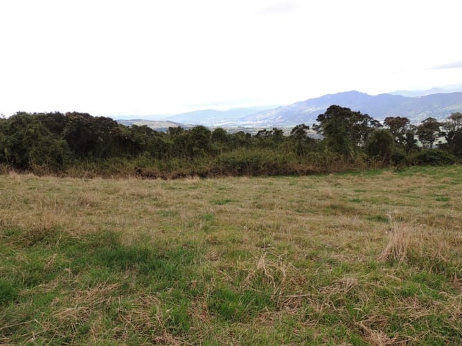 Lote en venta en Yerbabuena, Sopó, 5000 m² · foto 8 de 16